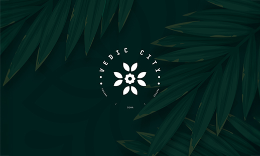 Vedic City